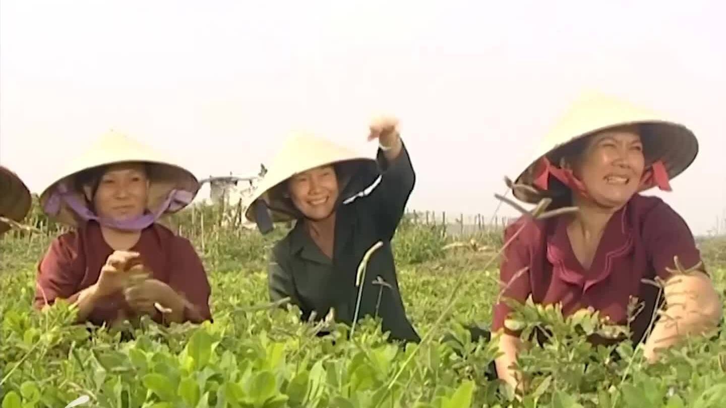 Nghệ sĩ Thanh Hiền đóng