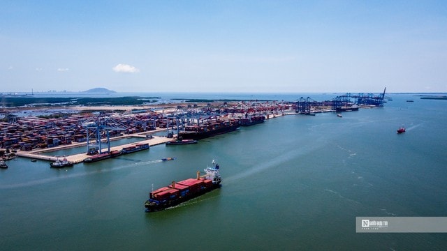 Mở đường cho “sếu đầu đàn” sải cánh từ Nghị quyết 79 - Bài 2: Loạt cơ chế mở - Ảnh 1.