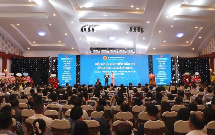 Gia Lai mở “đường băng” thu hút đầu tư, 700 doanh nghiệp dự hội nghị lớn - Ảnh 1.