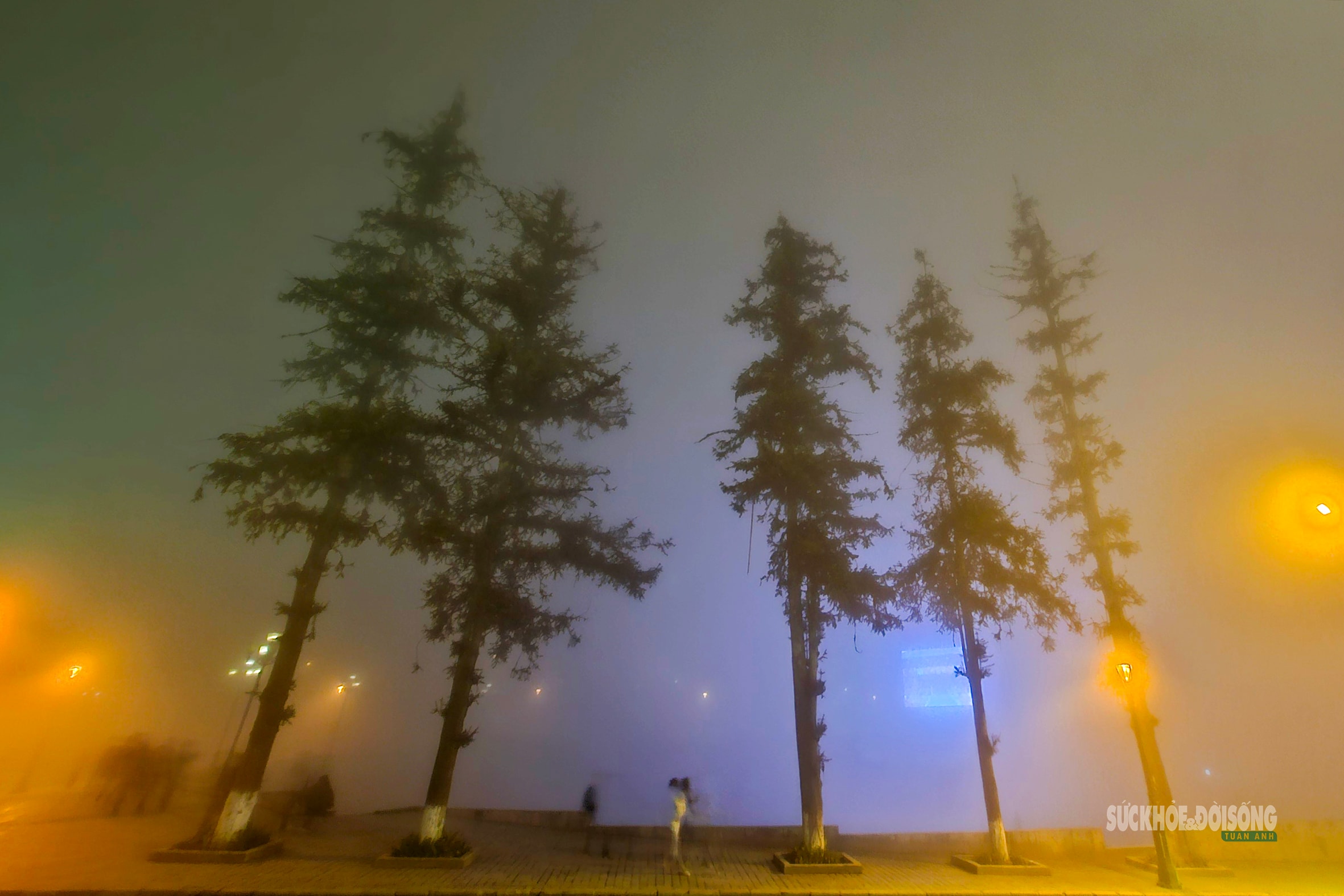 Không gian văn hóa Sa Pa, nơi tinh hoa các dân tộc Tây Bắc hội tụ- Ảnh 9. Không gian văn hóa Sa Pa, nơi tinh hoa các dân tộc Tây Bắc hội tụ- Ảnh 9.