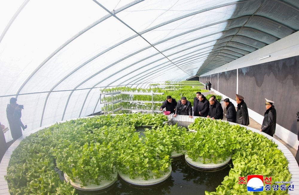 Ông Kim Jong-un cho rằng việc xây dựng trang trại nhà kính tổng hợp Sinuiju là một trong những dự án lớn nhất được thực hiện trong nhiệm kỳ thứ 8 của Đảng Lao động Triều Tiên.