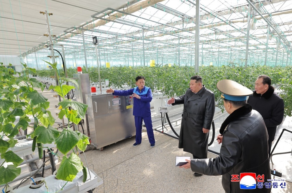 Nhà lãnh đạo Kim Jong-un đang trò chuyện cùng các kỹ sư làm việc tại trang trại nhà kính tổng hợp Sinuiju.