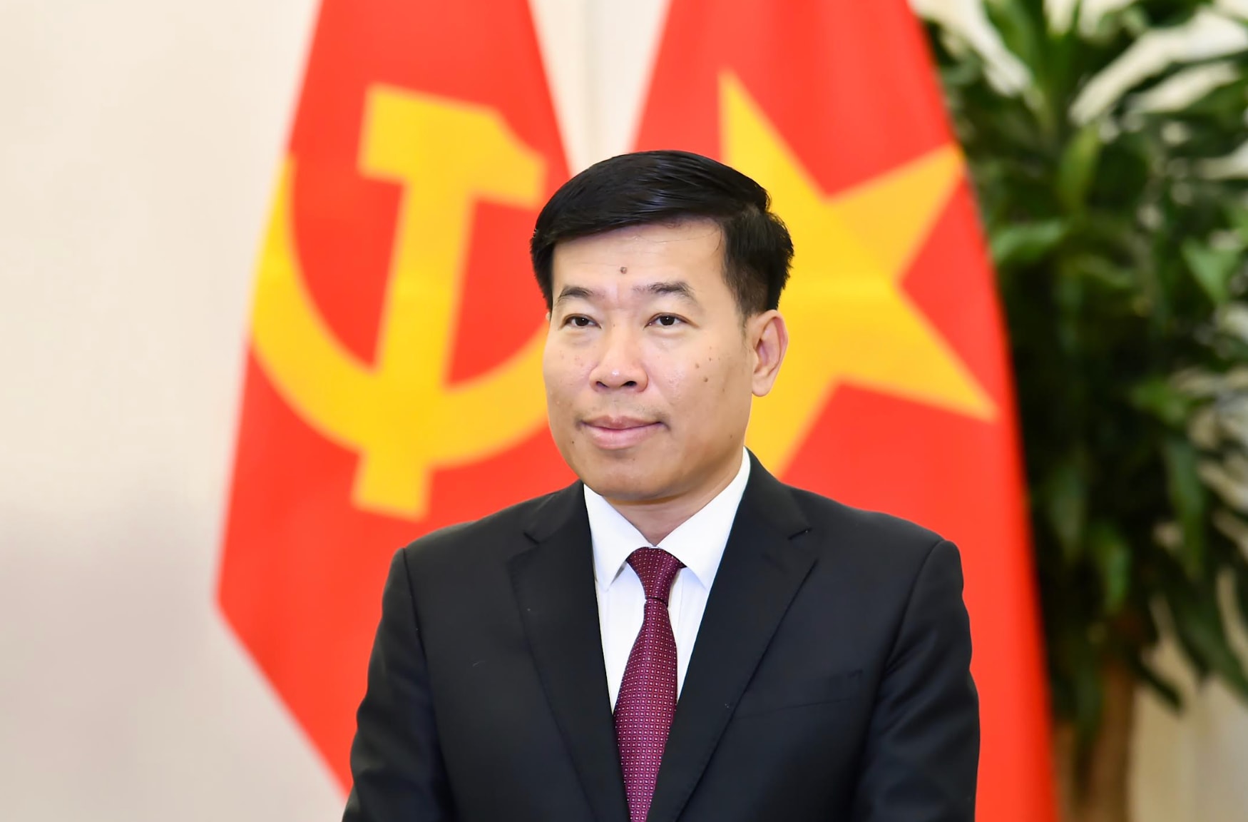 Thứ trưởng Ngoại giao Nguyễn Mạnh Cường.