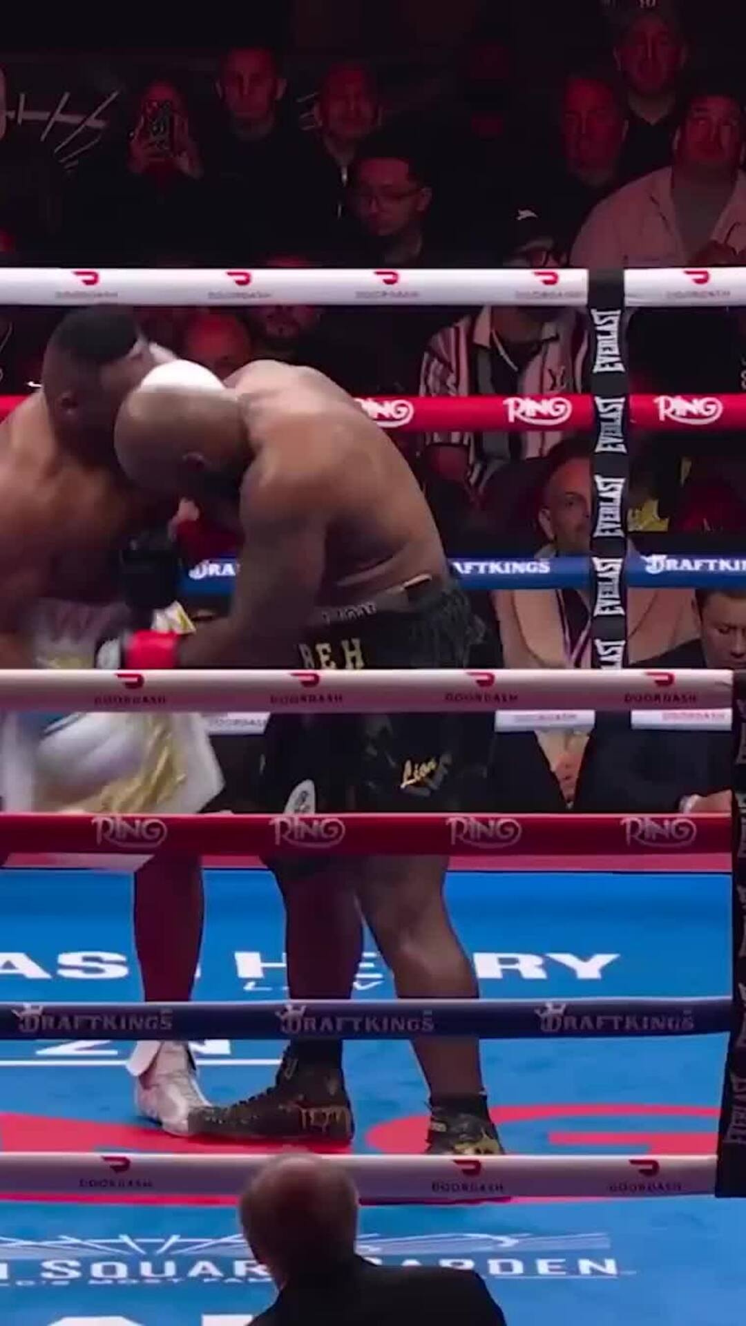 Võ sĩ quyền Anh bị đấm văng tóc giả