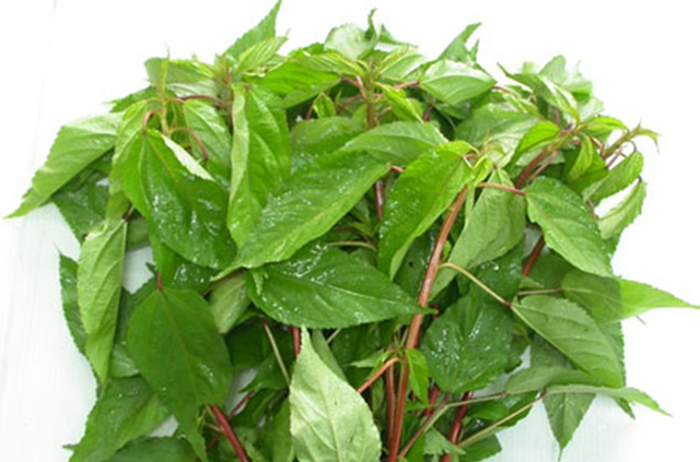 Loại rau hiếm khi “ngậm” thuốc trừ sâu, trời Tây mê tít: Ra chợ Việt là thấy đầy- Ảnh 1.