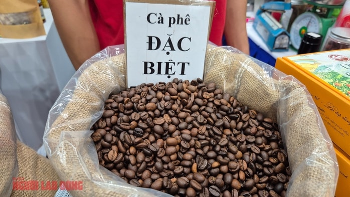 Giá cà phê hôm nay 2 - 2: Mỹ tăng mua cà phê Việt Nam đột biến - Ảnh 2. Giá cà phê hôm nay 2 - 2: Mỹ tăng mua cà phê Việt Nam đột biến - Ảnh 2.