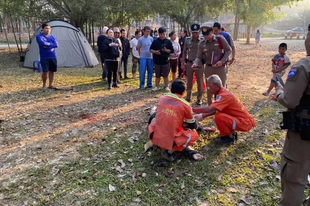 Thái Lan: Tập thể dục buổi sáng, du khách bị voi tấn công cạnh lều cắm trại - 1 Thái Lan: Tập thể dục buổi sáng, du khách bị voi tấn công cạnh lều cắm trại - 1