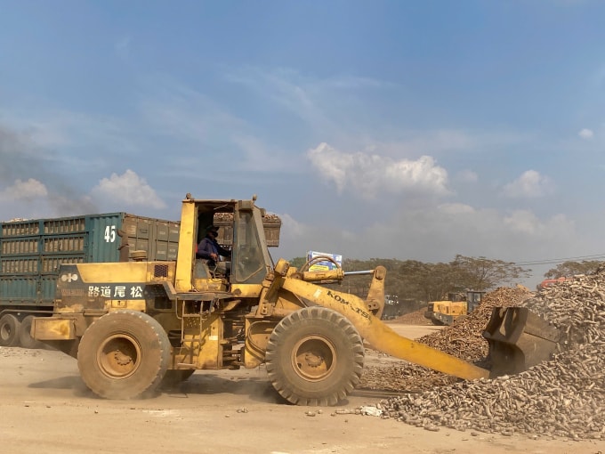 Nông sản ùn ứ tại Tây Ninh ngày 1/2. Ảnh: Nam An