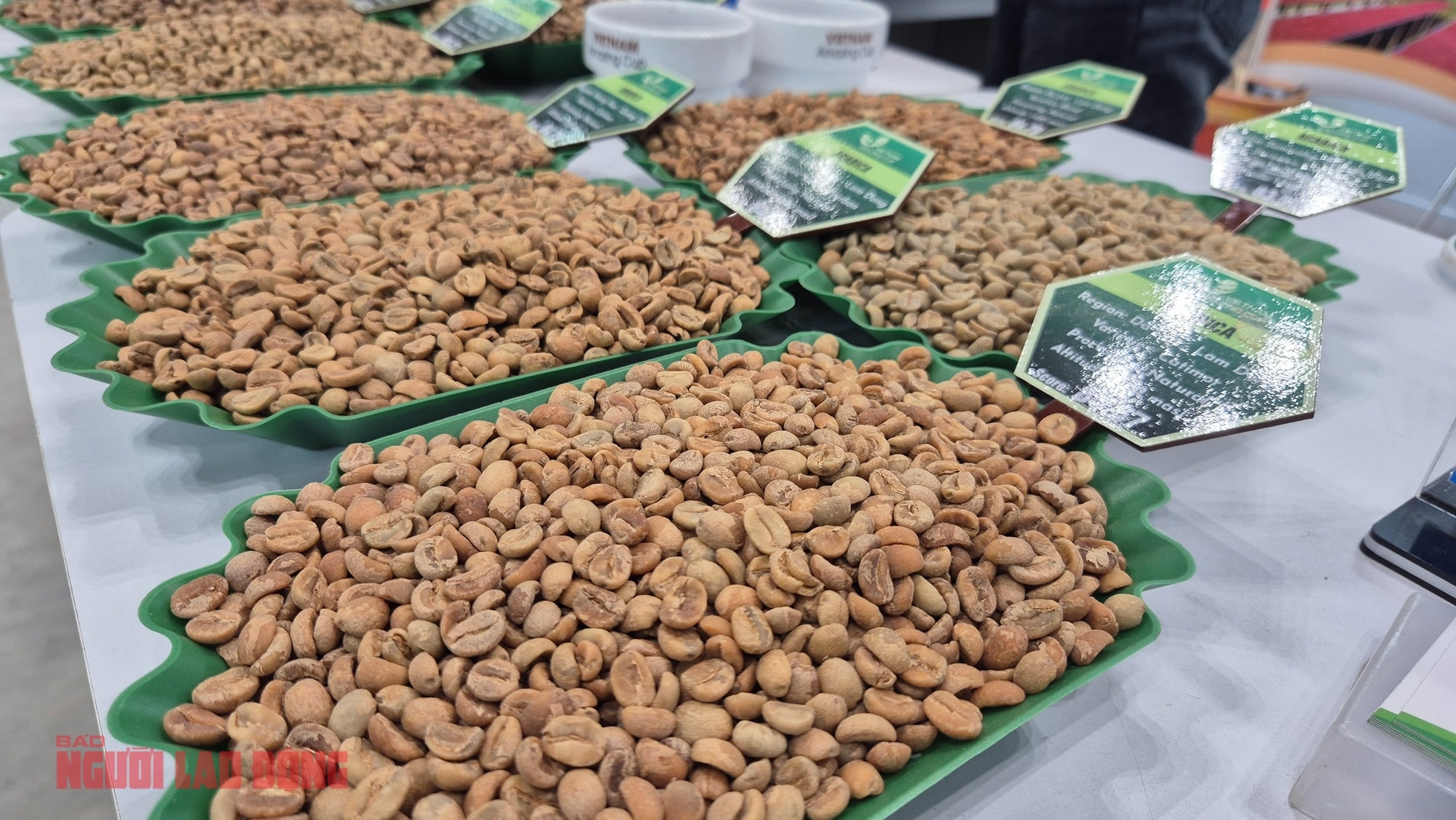 Giá cà phê hôm nay 3 - 2: Robusta giảm , Việt Nam đứng thứ 3 cung cấp cà phê cho Úc - Ảnh 2.