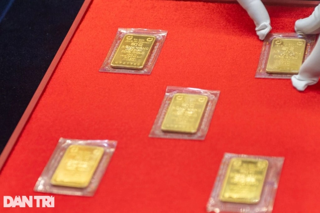 Chuyên gia WGC: Đầu tư vàng năm 2026 đừng chỉ nhìn vào biến động giá - 2