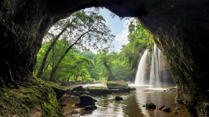 Một góc vườn quốc gia Khao Yai. Ảnh: Khao Yai National Park