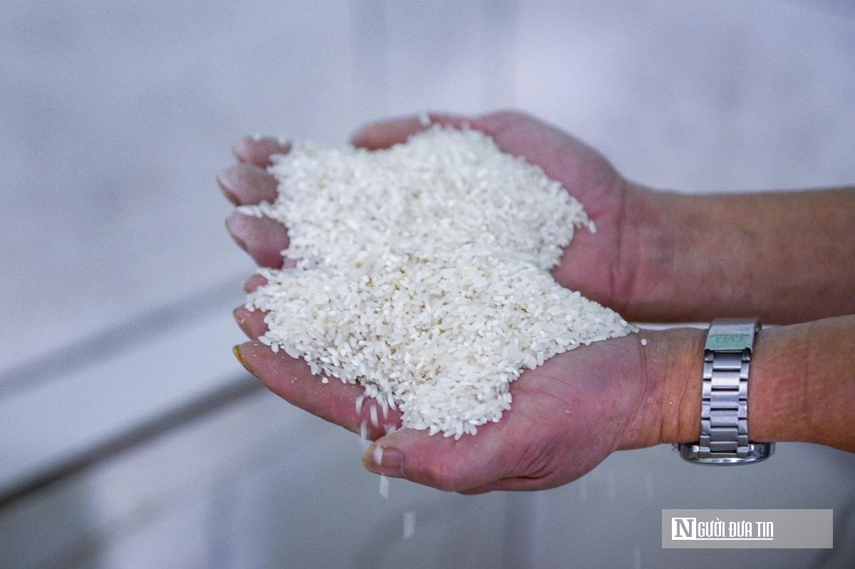 Làng miến lớn nhất Thanh Hóa thu về hàng chục tỷ đồng mỗi năm- Ảnh 2.