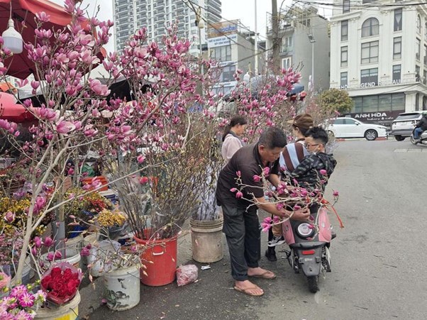 Loài hoa ngủ đông thành trào lưu sốt xình xịch trên mạng dịp Tết Bính Ngọ- Ảnh 5.