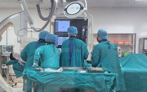 Bị chó tấn công, bà cụ 75 tuổi nguy kịch - Ảnh 3.