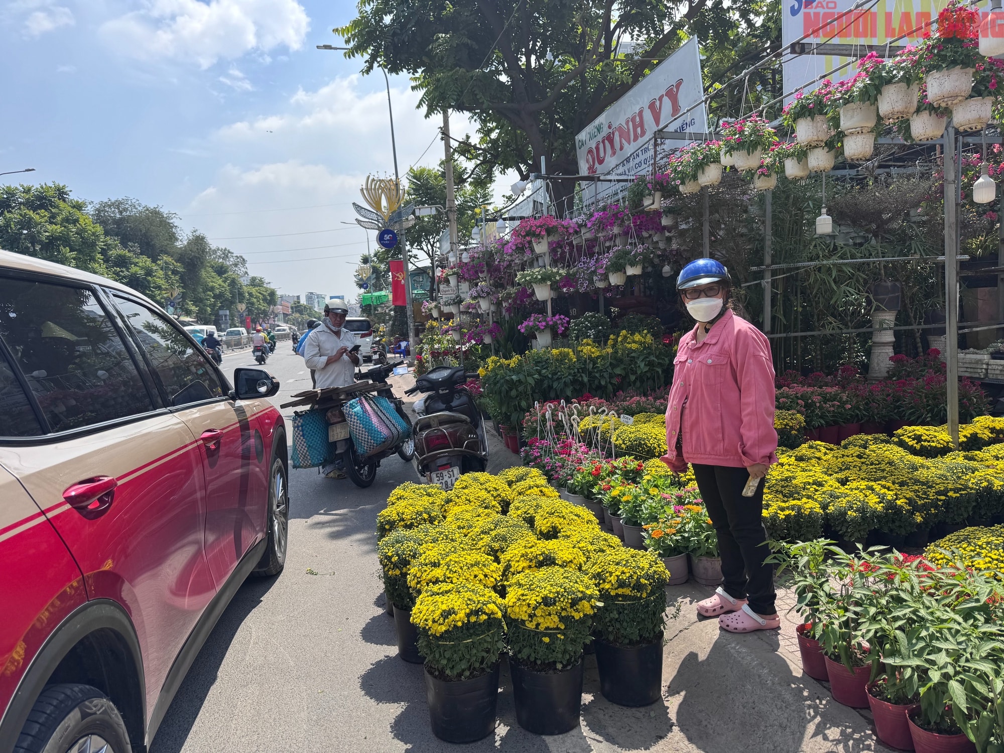 Giá hoa đào Tết 2026 tại TPHCM: Sự bùng nổ về chất lượng và giá cả - Ảnh 14. Giá hoa đào Tết 2026 tại TPHCM: Sự bùng nổ về chất lượng và giá cả - Ảnh 14.