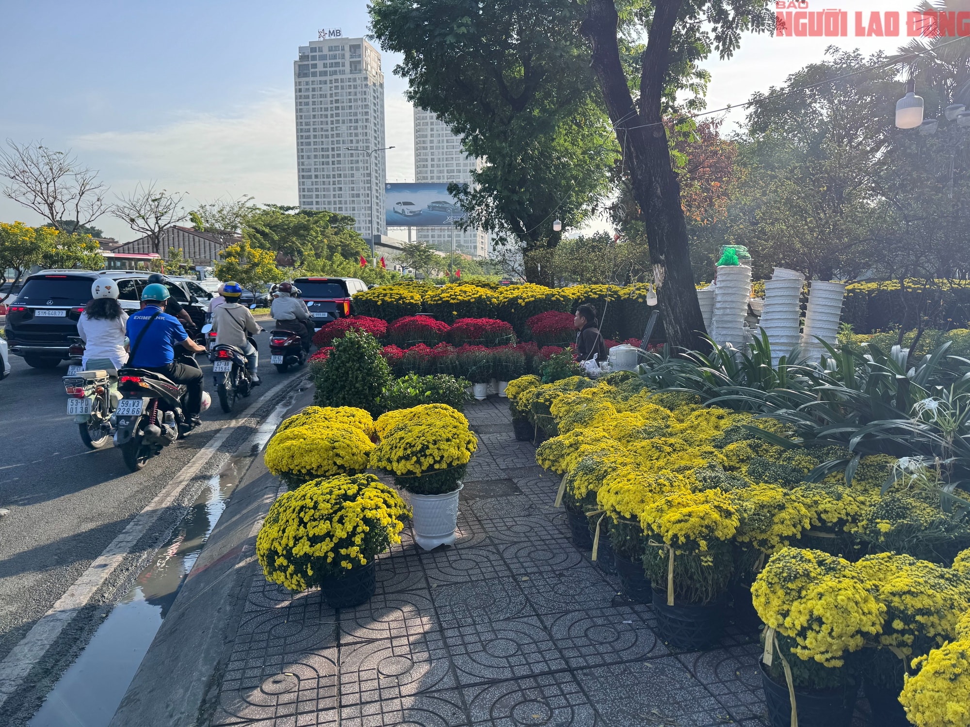 Giá hoa đào Tết 2026 tại TPHCM: Sự bùng nổ về chất lượng và giá cả - Ảnh 16. Giá hoa đào Tết 2026 tại TPHCM: Sự bùng nổ về chất lượng và giá cả - Ảnh 16.