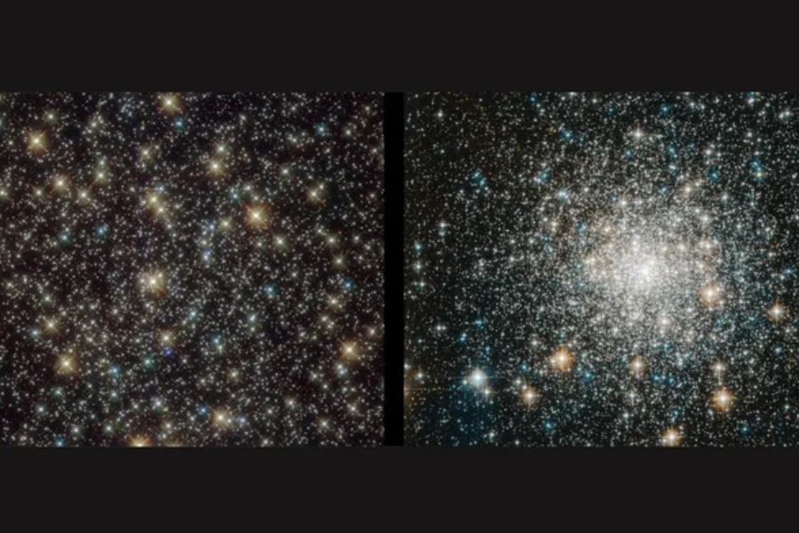 (Báo Người Lao động)