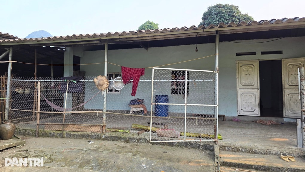 Mẹ già bệnh tật gồng gánh 2 con gái mù lòa và cháu ngoại thơ dại - 5