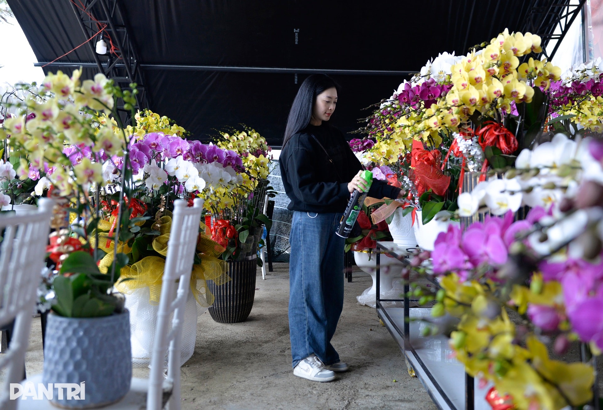 Người Đà Lạt tất bật chăm chút, đưa hoa cao cấp ra thị trường Tết - 10