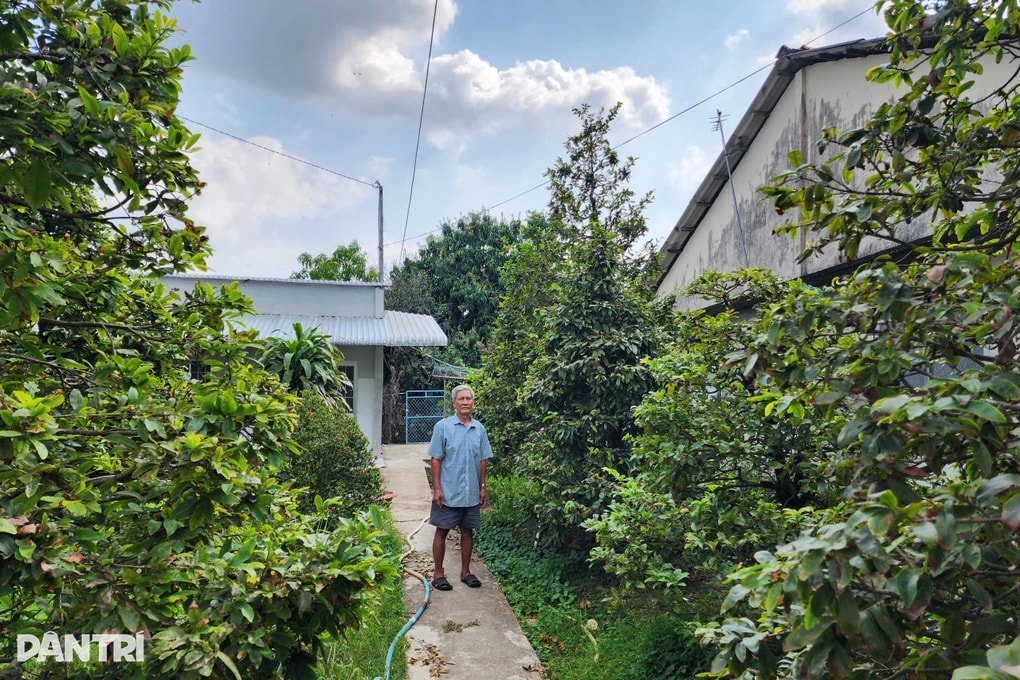 Làng mai bạc tỷ nức tiếng miền Tây đìu hiu những ngày cận Tết - 1 Làng mai bạc tỷ nức tiếng miền Tây đìu hiu những ngày cận Tết - 1