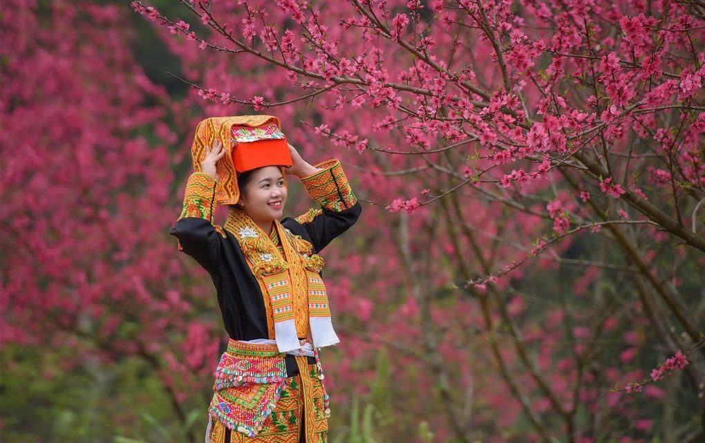 Rực sắc đào nơi biên giới, Lạng Sơn mở hội đón du khách suốt 2 tháng - 2 Rực sắc đào nơi biên giới, Lạng Sơn mở hội đón du khách suốt 2 tháng - 2