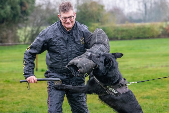 Grahame Green, đeo ống tay bảo vệ, trong một buổi huấn luyện với chó nghiệp vụ. Ảnh: Guardian
