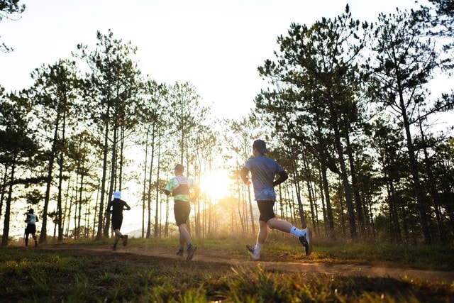 “F5” bản thân cho năm mới thêm phấn chấn cùng giải chạy Dalat Ultra Trail 2026 - Ảnh 1.