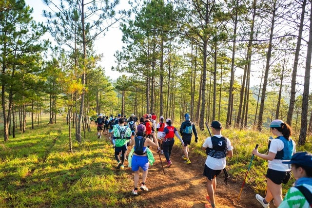 “F5” bản thân cho năm mới thêm phấn chấn cùng giải chạy Dalat Ultra Trail 2026 - Ảnh 3.