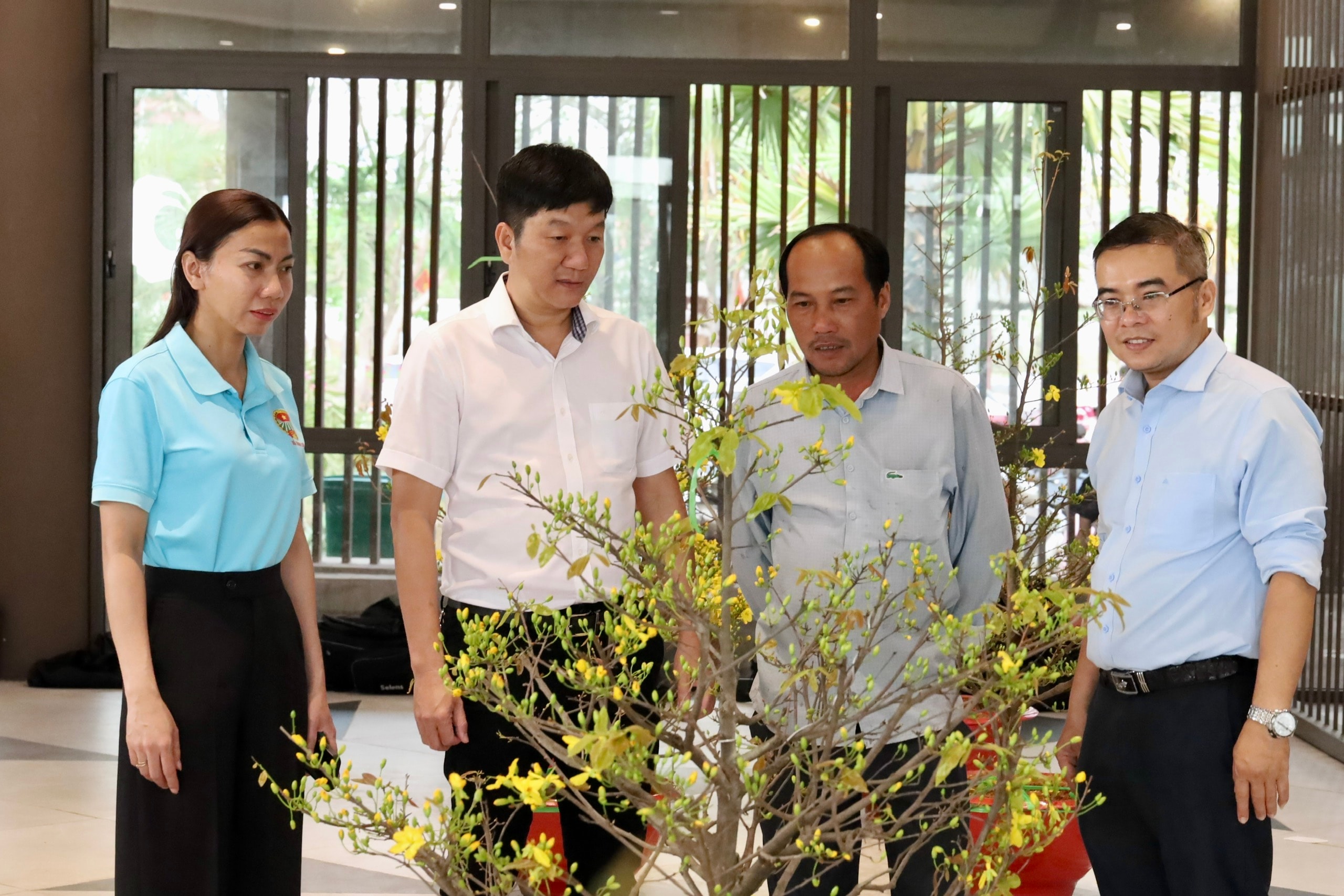 Địa phương TPHCM tổ chức livestream bán mai vàng hỗ trợ nông dân 2026 - Ảnh 2.