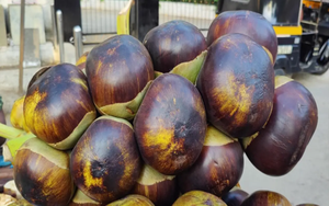 Loại quả ít “ngậm” thuốc trừ sâu nhất chợ, nhiều người không biết mà mua - Ảnh 6.