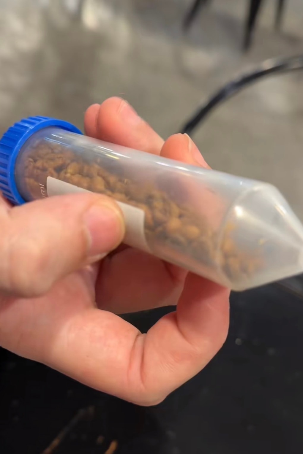 Khách Mỹ ngỡ ngàng khi uống ly cà phê hiếm gần 800.000 đồng tại Việt Nam - 1