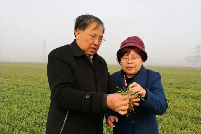 Vợ chồng nhà khoa học Ru Zhengang và Yuan Lianzhuang. Ảnh: Hôn nhân và gia đình