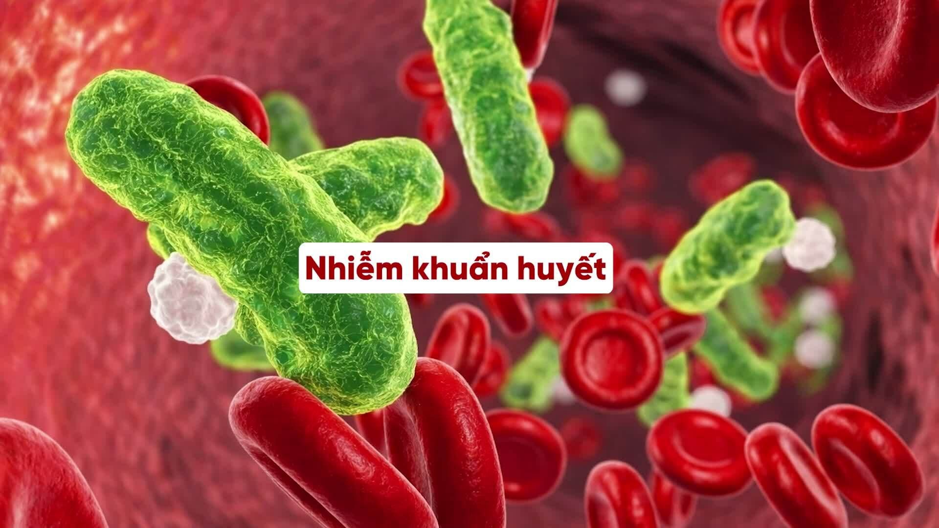 Vi khuẩn phế cầu nguy hiểm như thế nào?