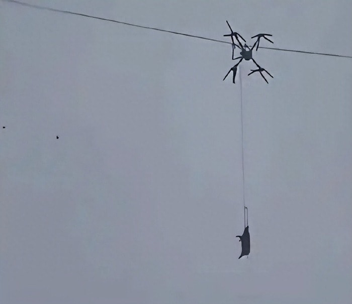 Dùng drone chở lợn đi giết mổ, cả làng mất điện