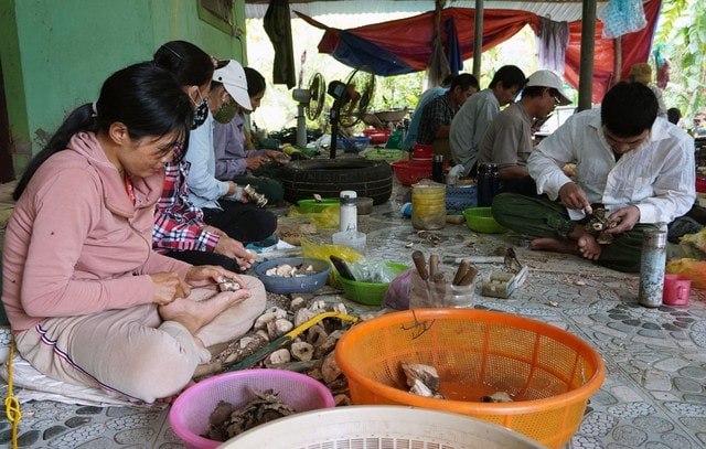 Hướng đi giúp làng nghề “thơm nức mũi” thu về hàng chục tỷ đồng mỗi năm- Ảnh 1.