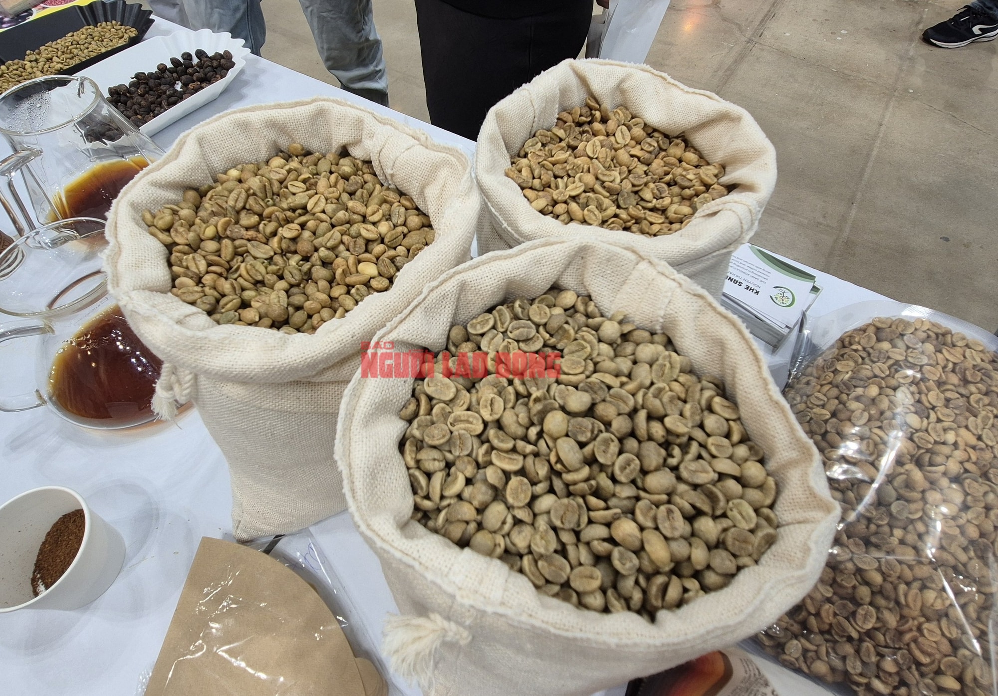 Giá cà phê hôm nay 6-2: Robusta tăng, xuất khẩu bùng nổ gần 1,1 tỉ USD/tháng - Ảnh 1.