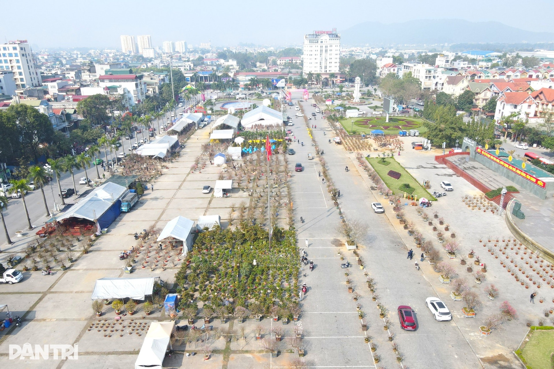 Chàng trai người Mông vượt hơn 200km từ Sơn La vào Thanh Hóa bán đào thuê - 1