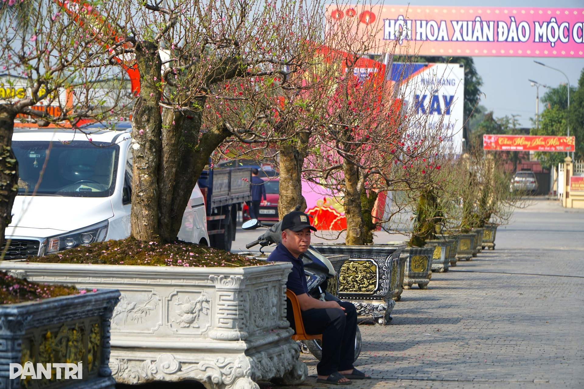 Chàng trai người Mông vượt hơn 200km từ Sơn La vào Thanh Hóa bán đào thuê - 8