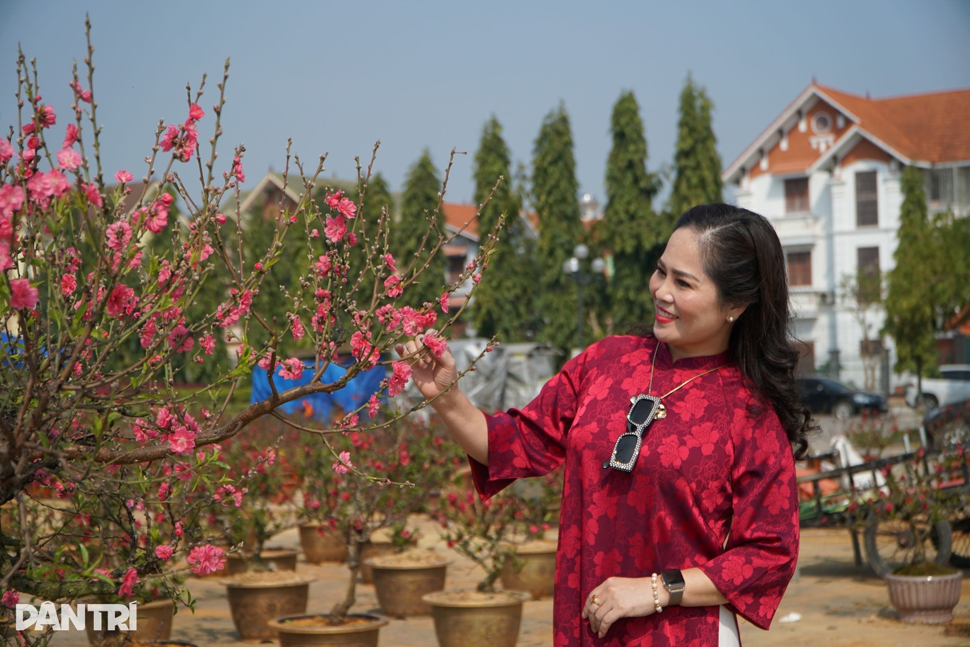 Chàng trai người Mông vượt hơn 200km từ Sơn La vào Thanh Hóa bán đào thuê - 10