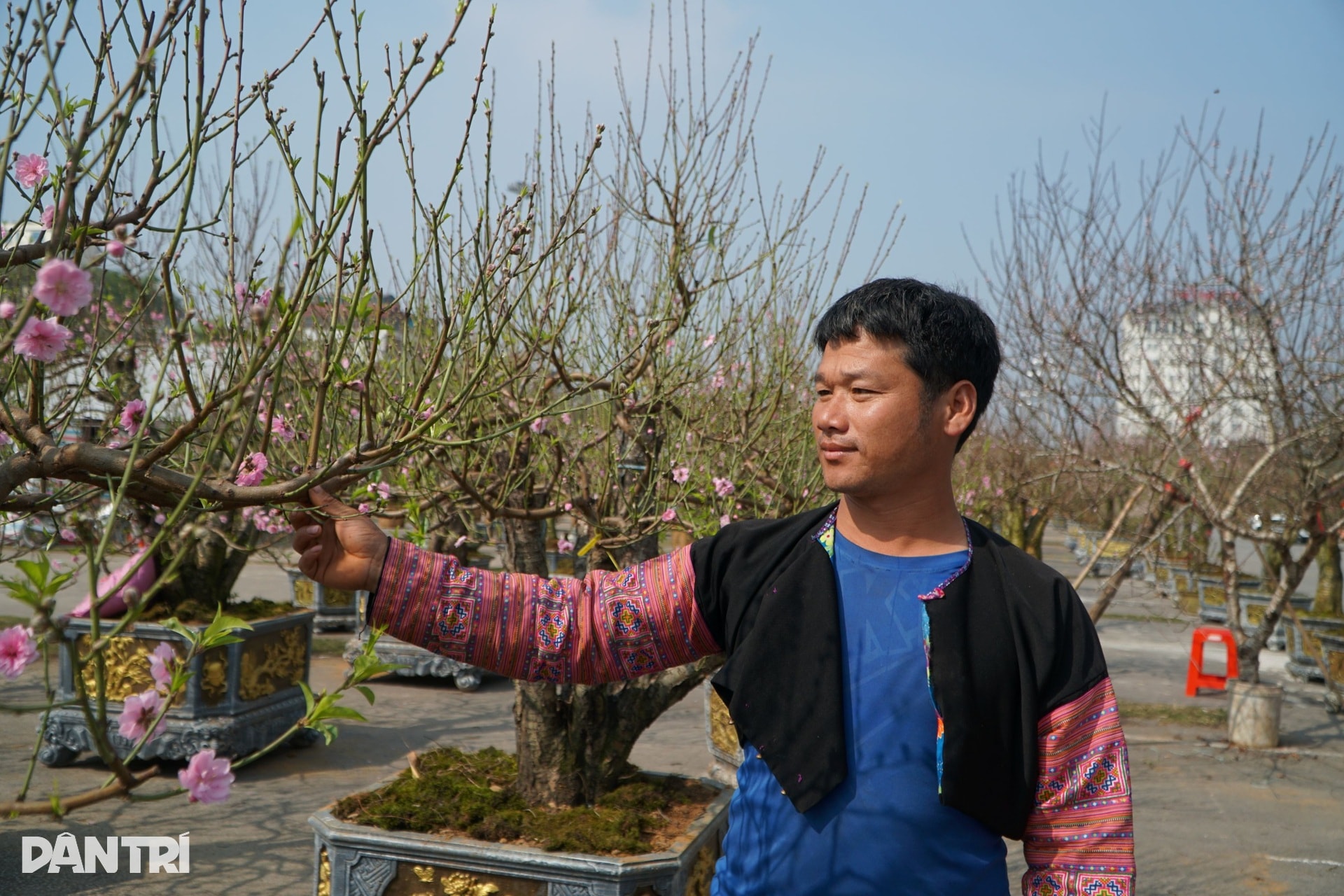 Chàng trai người Mông vượt hơn 200km từ Sơn La vào Thanh Hóa bán đào thuê - 2