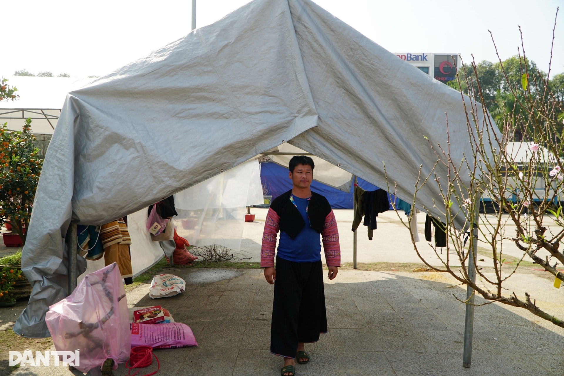 Chàng trai người Mông vượt hơn 200km từ Sơn La vào Thanh Hóa bán đào thuê - 4
