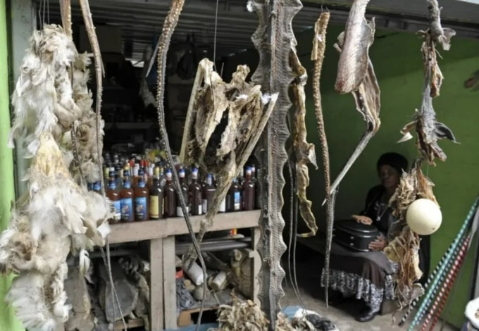 Các nguyên liệu làm muti được bày bán ở Nam Phi. Ảnh: AFP