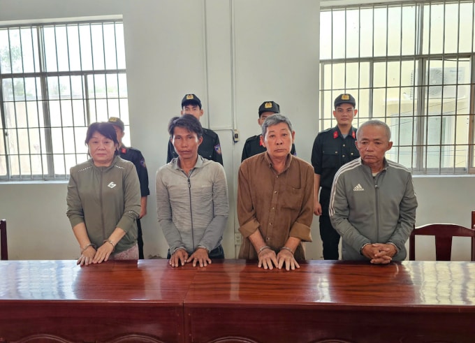 Bị can Lâm Thị Hồng Hạnh, Nguyễn Văn Vũ, Nguyễn Duy Thành, Nguyễn Hữu Vĩnh (từ trái sang)