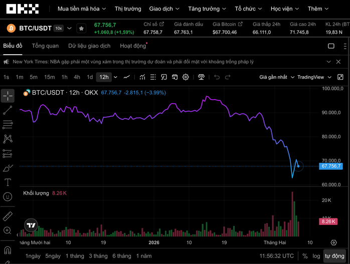 Thị trường tiền số hôm nay, 7-2: Hé lộ "ông lớn" âm thầm gom Bitcoin giữa lúc giá lao dốc - Ảnh 1.