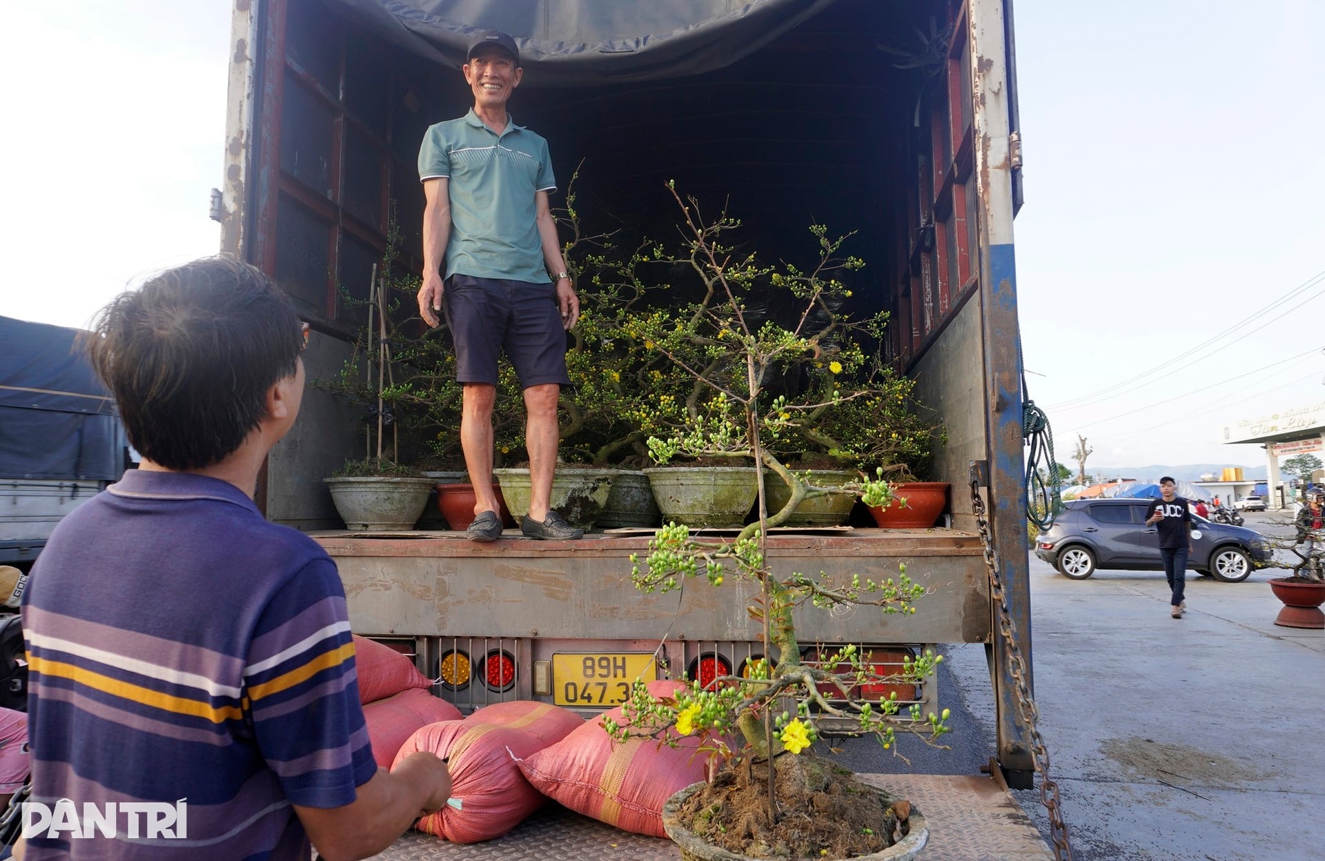 Sau bão lũ, giá mặt bằng tăng, bán 30 chậu mai dáng long chưa đủ tiền thuê - 14