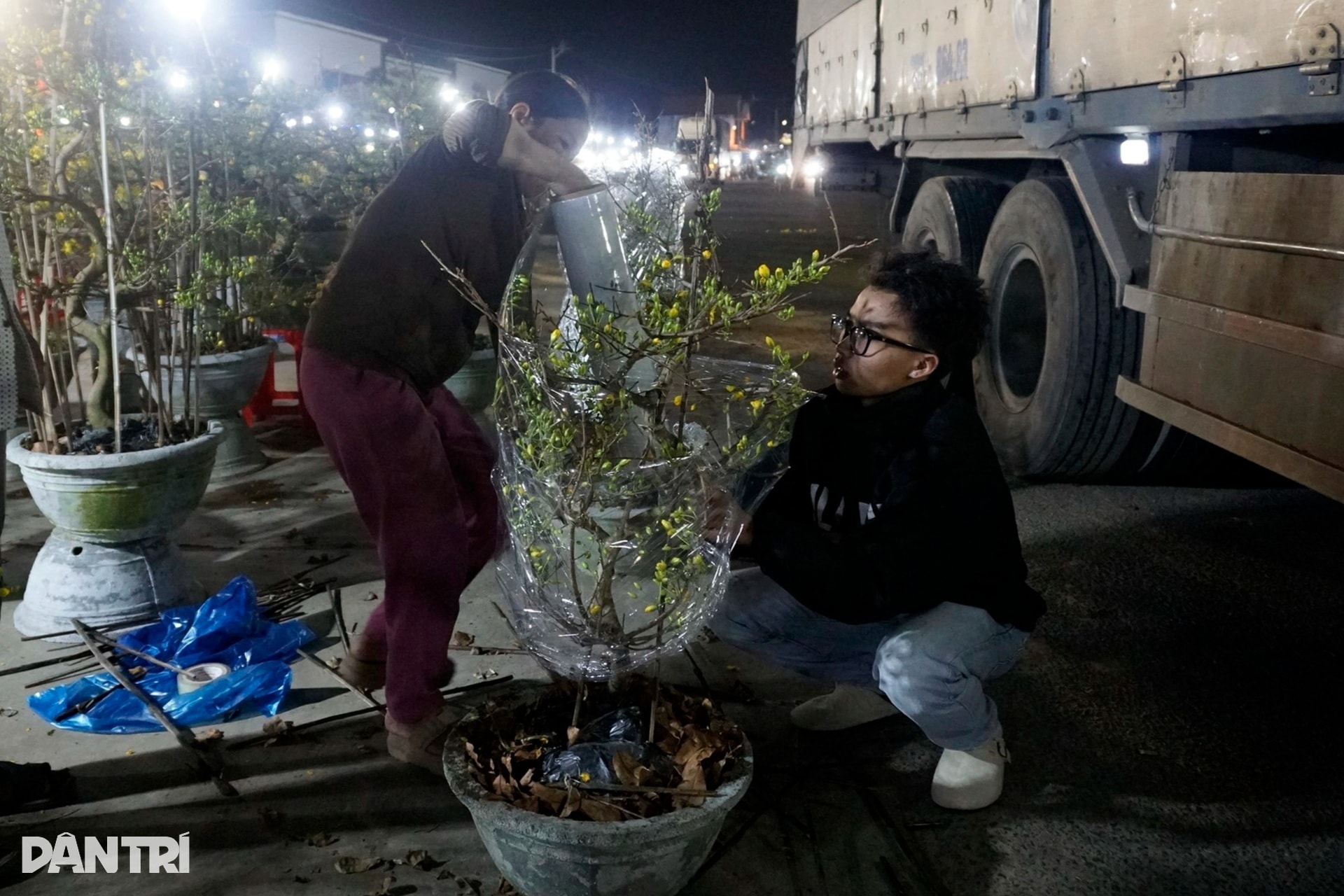 Sau bão lũ, giá mặt bằng tăng, bán 30 chậu mai dáng long chưa đủ tiền thuê - 13