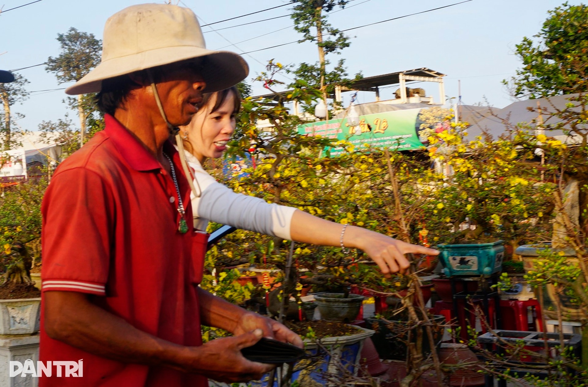 Sau bão lũ, giá mặt bằng tăng, bán 30 chậu mai dáng long chưa đủ tiền thuê - 11