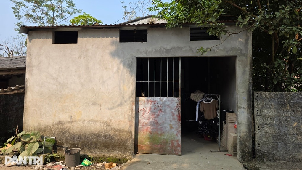 Anh em mồ côi, bệnh tật, nương tựa nhau sống qua ngày - 4