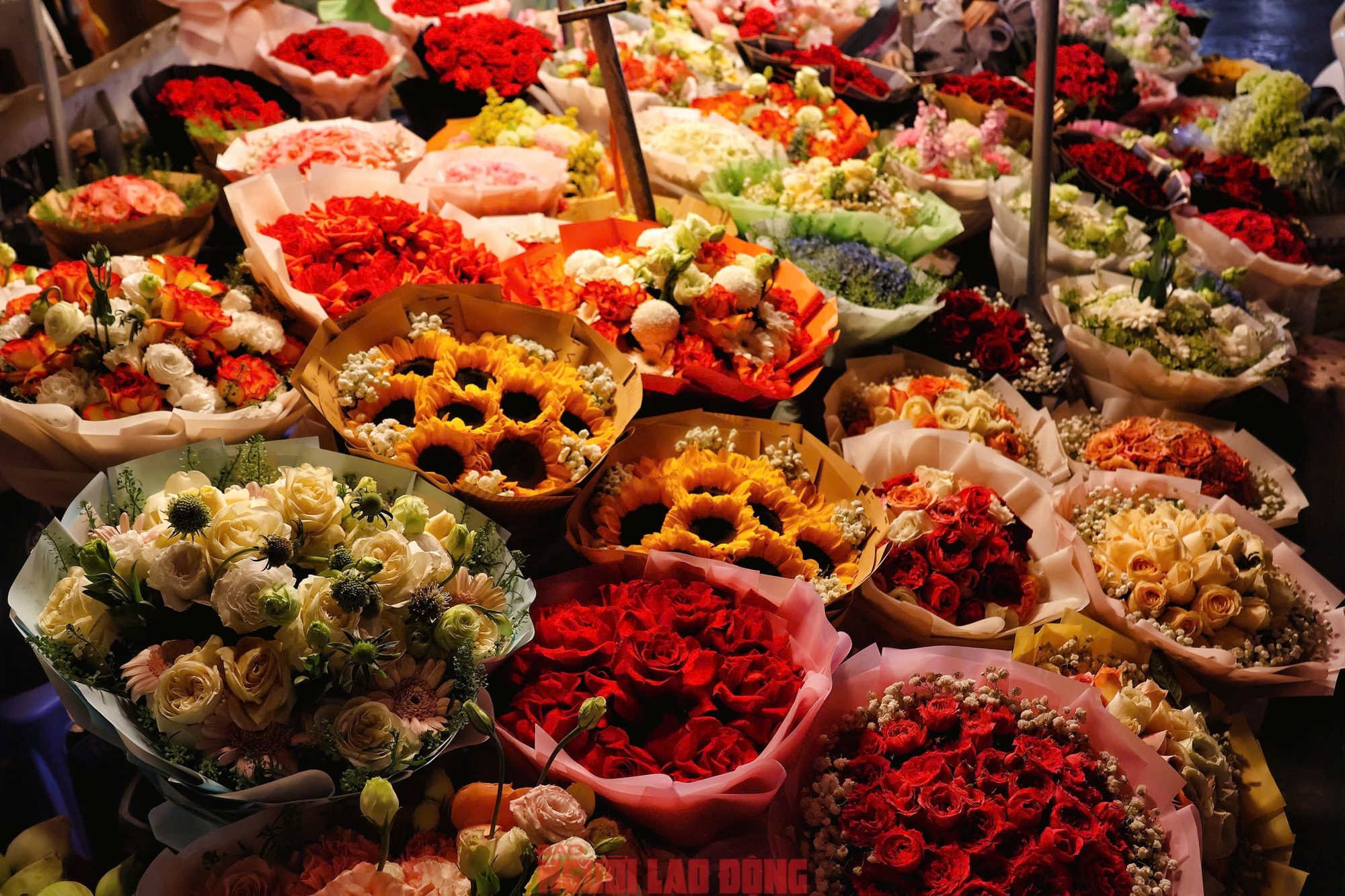 Khám phá chợ hoa Quảng An lớn nhất Hà Nội dịp Tết 2026 - Ảnh 9.