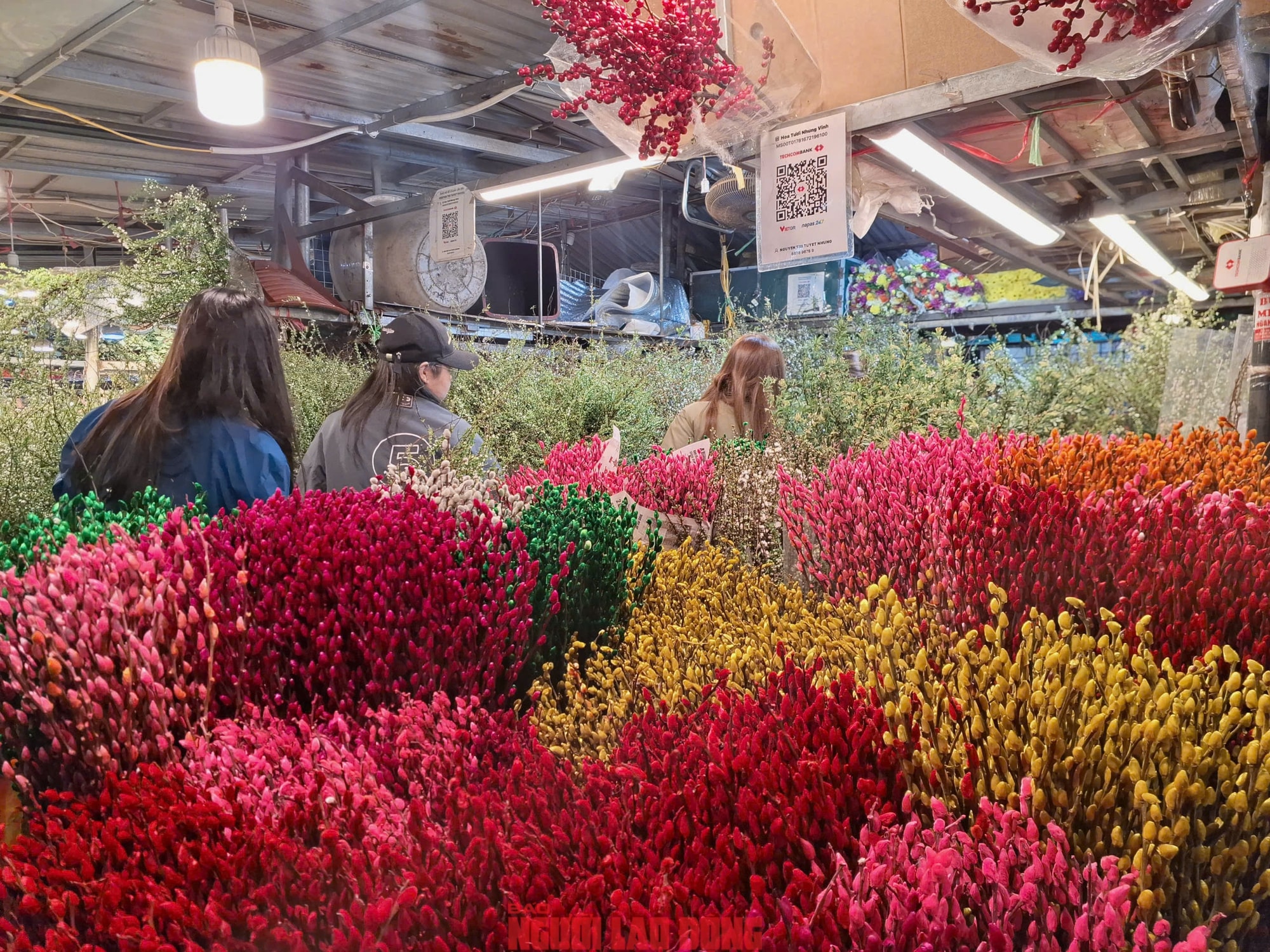Khám phá chợ hoa Quảng An lớn nhất Hà Nội dịp Tết 2026 - Ảnh 20.